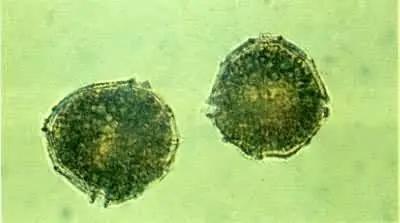 1666950151145474.jpg u=2690801147,153467549&fm=253&fmt=auto&app=138&f=JPEG.webp.jpg